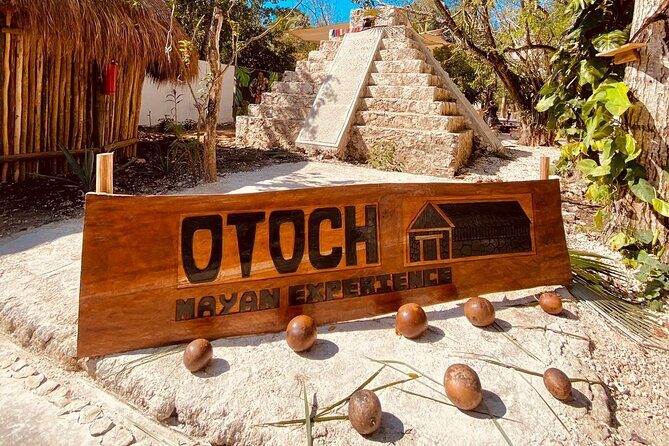 Cozumel Best Spots (Beach-Mayan Park-Downtown) - Stop 2: Punta Francesa Beach for Palm Shade and Golden Sand