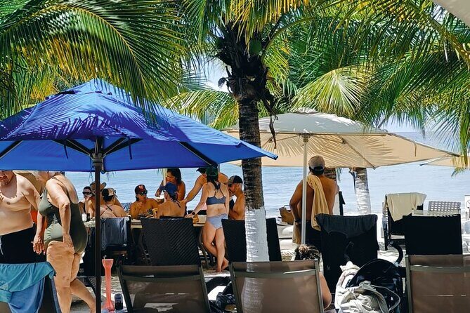 Cozumel Best Spots (Beach-Mayan Park-Downtown) - How the Day Flows: Pickup, Group Size, and Getting Back to Your Ship