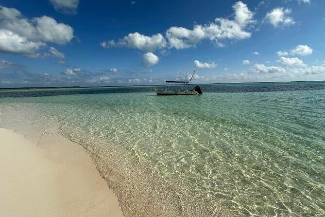Cozumel Buggy Island Adventure Punta Sur Park &Scenic Island Tour - Punta Sur Eco Beach Park: Lighthouse Views and Wildlife-Watching Time
