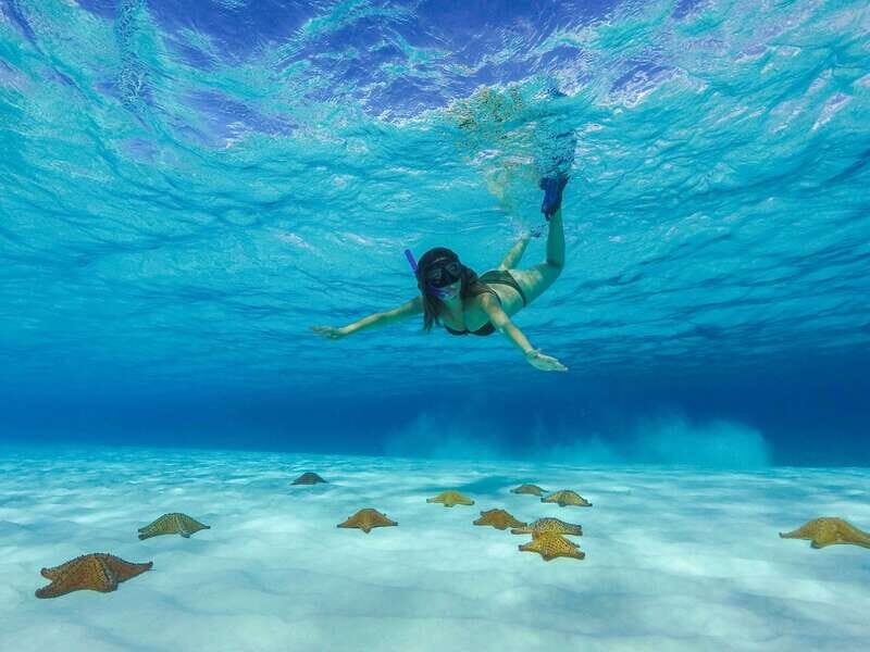 Cozumel: Catamaran, El Cielo Bay & Palancar Reef with Lunch - Should You Book This Cozumel Snorkeling and Culture Combo?