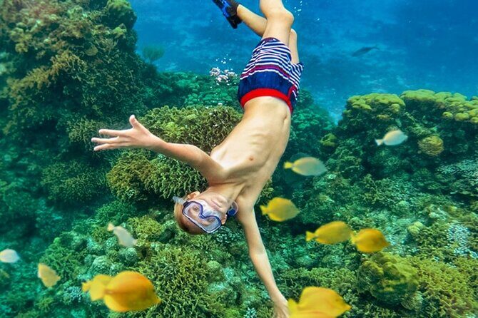 Cozumel Catamaran Experience with Snorkeling & Beach Club - Sailing to Palancar Reef: what “national park snorkeling” means for your day