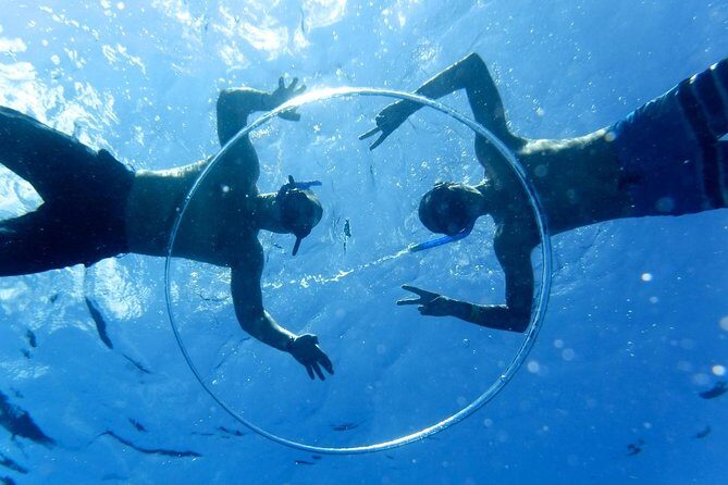 Cozumel Catamaran Snorkeling Tour & lunch - Cozumel Catamaran Snorkeling: A 6-Hour Plan That Moves