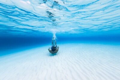 Cozumel Catamaran Snorkeling Tour & lunch - Meeting at Playa Mia: Where to Check In (and why timing matters)