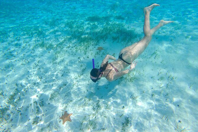 Cozumel Catamaran Snorkeling Tour & lunch - Lunch at the beach park: Food, shade, and how to handle the vibe
