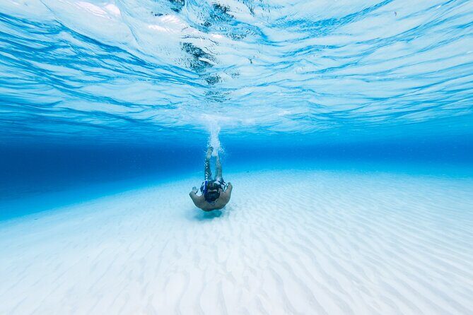 Cozumel Catamaran Snorkeling Tour & lunch - Meeting at Playa Mia: Where to Check In (and why timing matters)