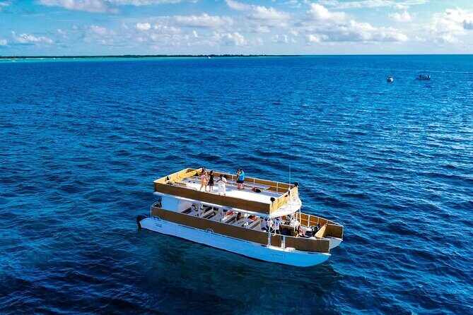 Cozumel Catamaran Tour: Snorkel at Top Reefs & Open Bar - El Cielo Sandbar: shallow water, starfish photos, and a different kind of snorkeling