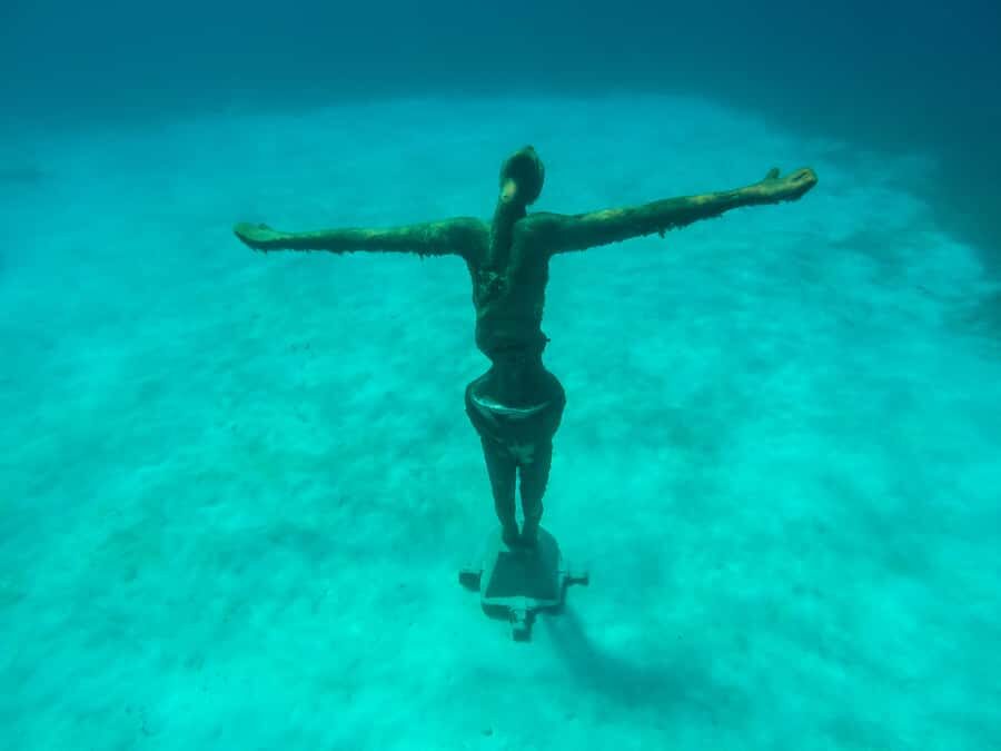 Cozumel: Chankanaab Park Admission+ Snorkel+ Welcome drink - Key Points Before You Go