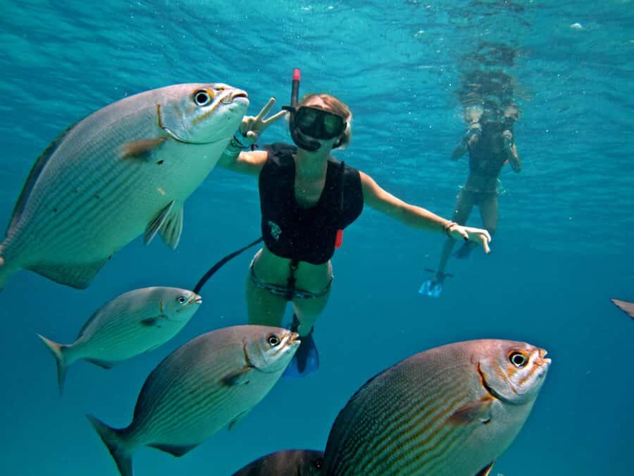Cozumel: Chankanaab Park Admission+ Snorkel+ Welcome drink - Chankanaab Park Pass With Snorkel: What You’re Really Buying