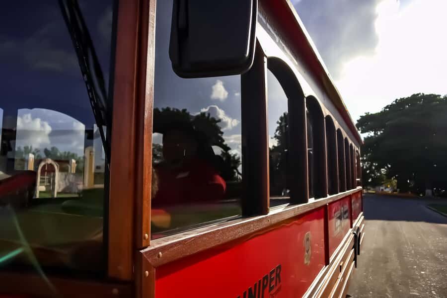 Cozumel: City Trolley Tour - Finding the trolley near Puerta Maya Pier (and avoiding the first headache)