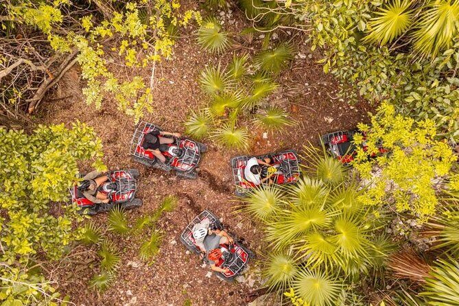 Cozumel: Discover Hidden Gems w/ Private guide - Price and Value: $199 for Up to 4 People