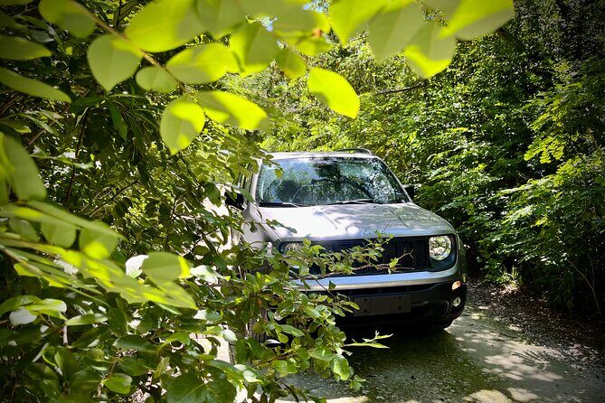 Cozumel: Discover Hidden Gems w/ Private guide - The Jeep Renegade: Comfort and Timing for 5 Hours