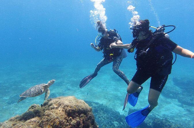 Cozumel: Discover Scuba Diving - Gear, comfort, and small details that change everything