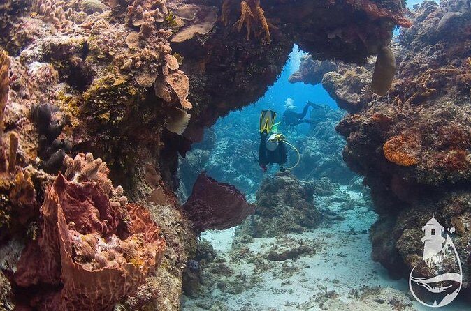 Cozumel: Discover Scuba Diving - Tips to make your first scuba day smoother in Cozumel