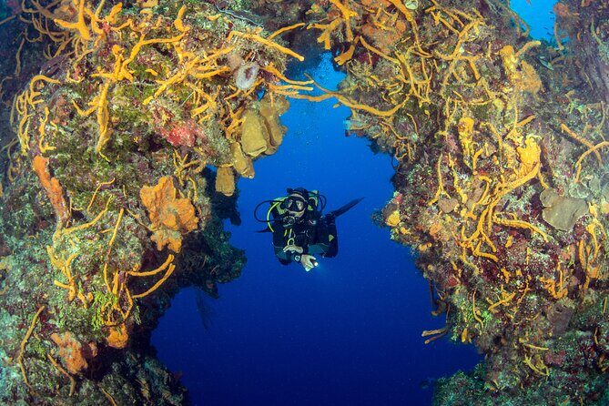 Cozumel Dive Package - Certified Divers from the Riviera Maya (4 dives) - What to Pack and What to Decide Before You Go