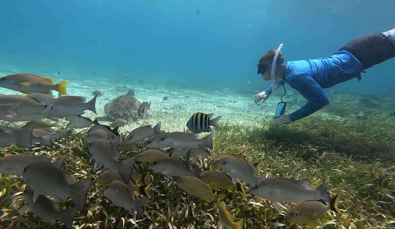 Cozumel, El Cielo: 4-Hour Private Tour - Snorkel gear and safety basics that affect your comfort