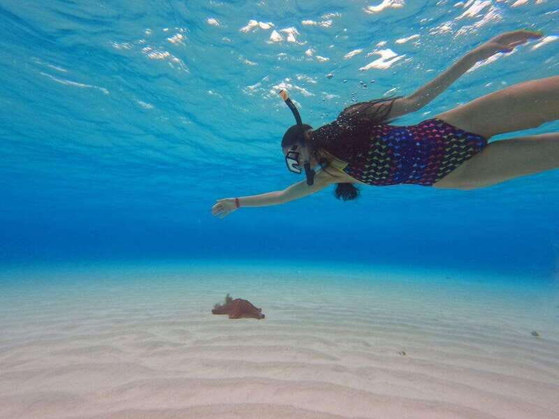 Cozumel, El Cielo: 4-Hour Private Tour - Private pacing, language options, and owner-level communication