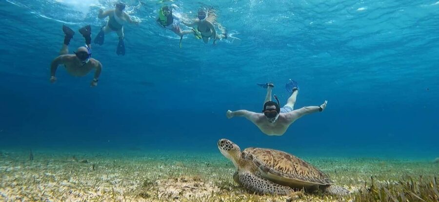 Cozumel, El Cielo: 4-Hour Shared Snorkeling Tour - Key things to know before you go