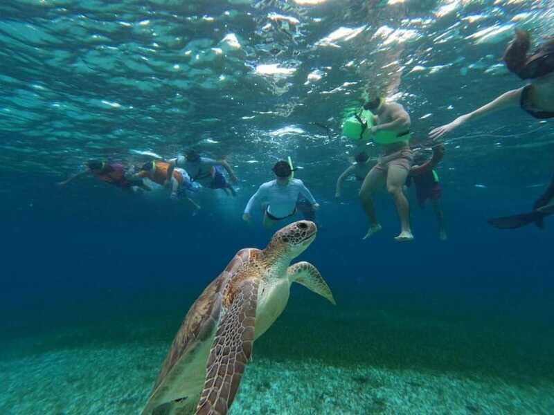 Cozumel, El Cielo: 4-Hour Shared Snorkeling Tour - What you get for $67: value that makes sense for a half-day