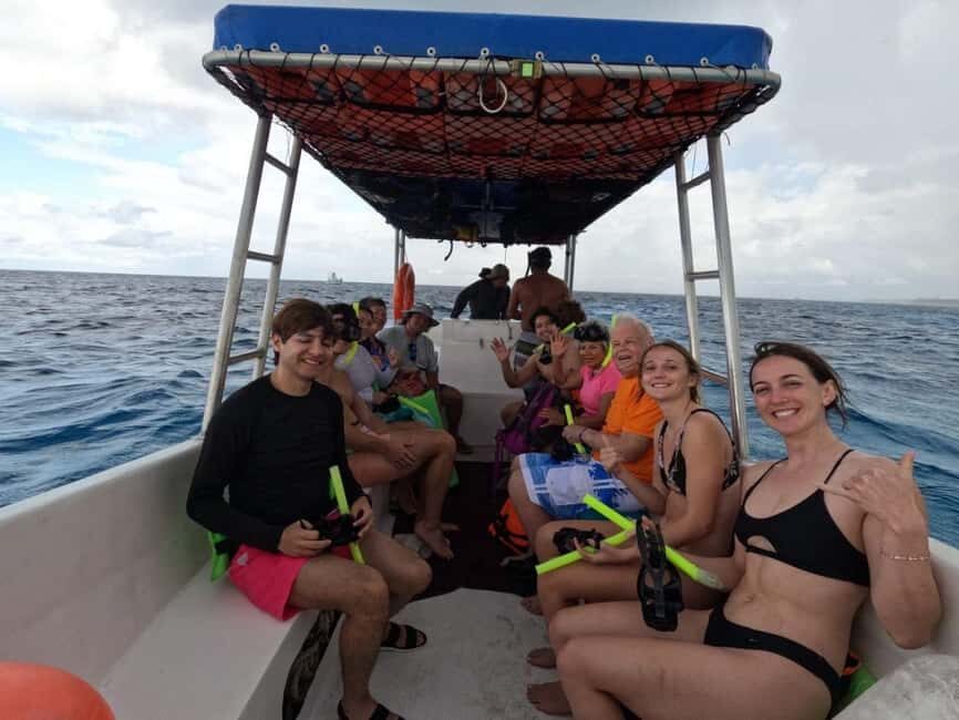 Cozumel, El Cielo: 4-Hour Shared Snorkeling Tour - Species you might spot: what to watch for on both stops