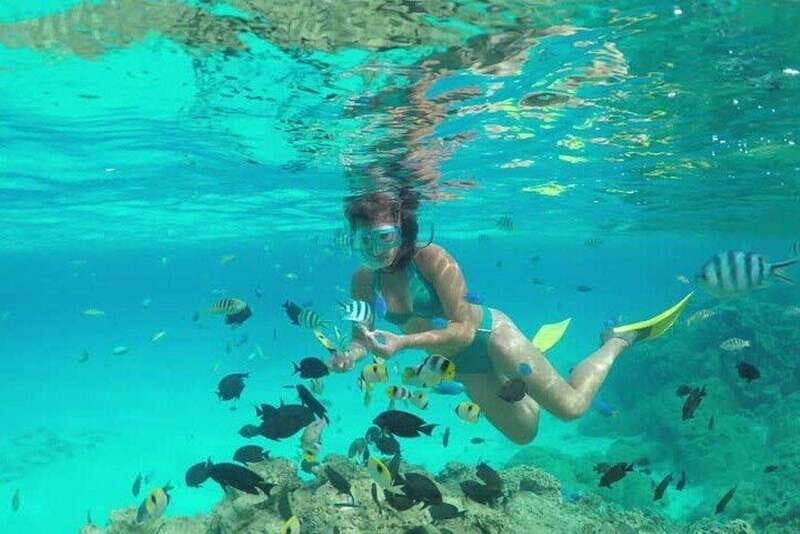 Cozumel El Cielo Sandbar and Reef Snorkeling Tour - Key points before you go
