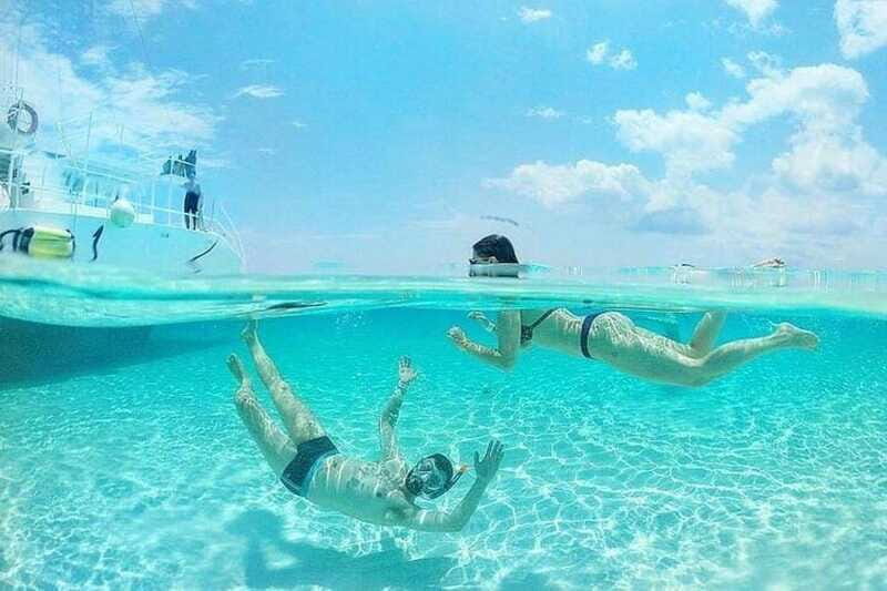 Cozumel El Cielo Sandbar and Reef Snorkeling Tour - Palancar Reef: where the variety usually grabs you