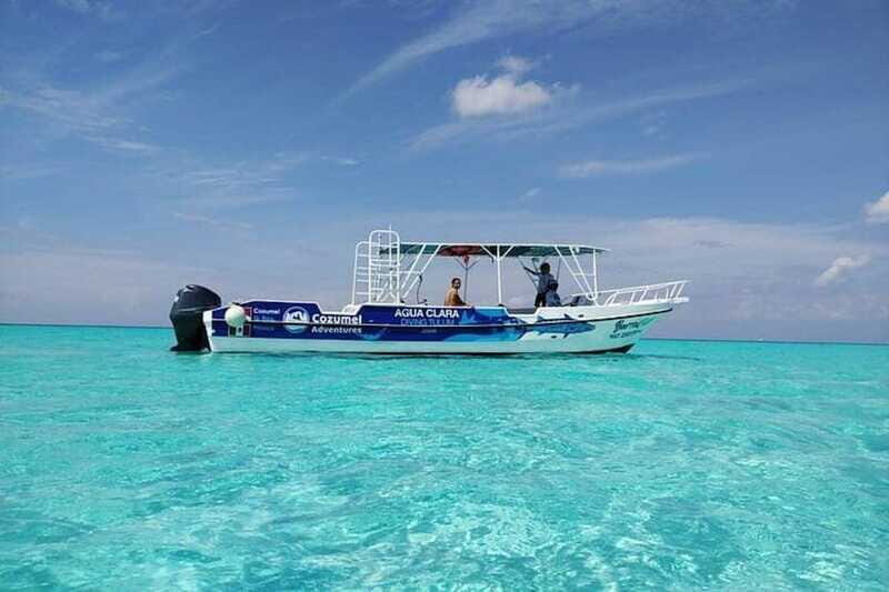 Cozumel El Cielo Sandbar and Reef Snorkeling Tour - Price and value: is $189 per person fair for this setup?