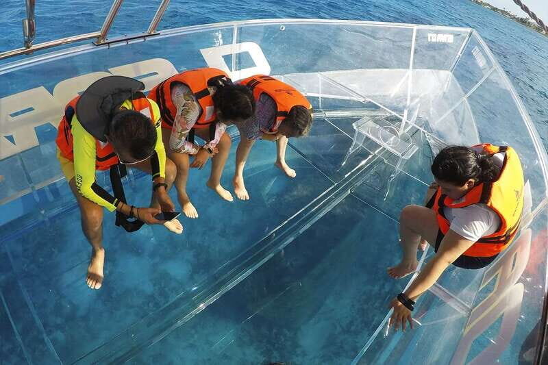Cozumel Experience: ATV Wild Ride and Clear Boat Adventure - Clear Boat adventure to the sunken ship: the wow factor, plus the sting risk
