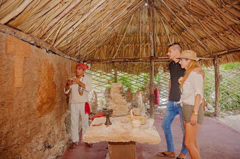 Cozumel: General Entrance to Mayan Bee Sanctuary - Inside the Meliponary: How a Stingless Hive Is Organized