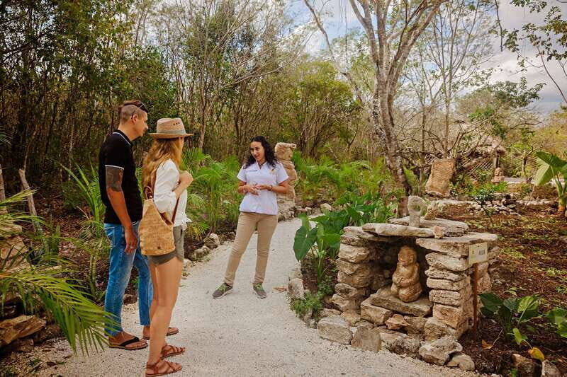 Cozumel: General Entrance to Mayan Bee Sanctuary - The Monolith Path: Ixchel, Aluxes, and Limestone Stories