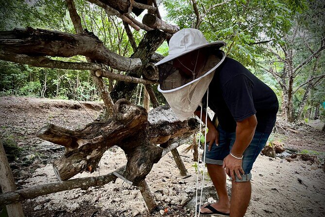 Cozumel: Hands-On Chocolate, Tortilla, Salsa & Honey Experience - Tierra Maya in Cozumel: a jungle setting where you actually cook