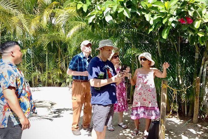 Cozumel: Hands-On Chocolate, Tortilla, Salsa & Honey Experience - Private transportation and flexible pacing that makes the day feel lighter