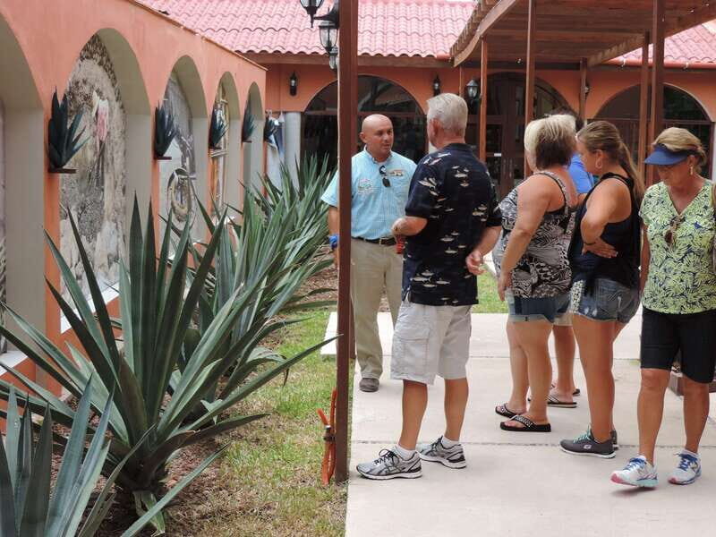 Cozumel: Historical Driving Tour by VW Buggy with Snorkeling - The meet-up at Royal Village (and how to avoid a stressful start)