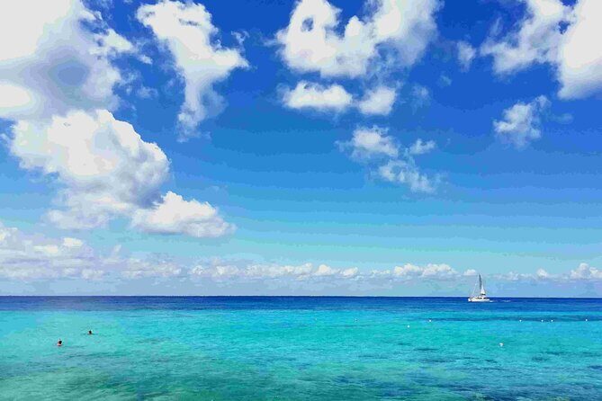 Cozumel Island Tour: Mayan Ruins, Reefs, and Beach Escape - Key Highlights You’ll Care About
