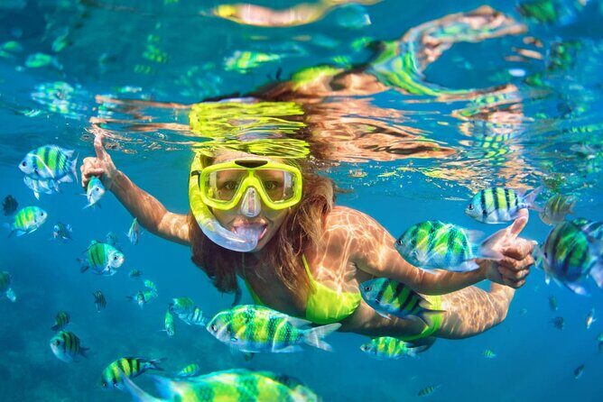 Cozumel Island Tour: Mayan Ruins, Reefs, and Beach Escape - A Five-Hour Day That Balances Ruins, Food, and Beach Time