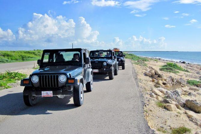 Cozumel Jeep Tour from Cancun and Riviera Maya - Price and true cost: $149 ticket plus likely extra charges