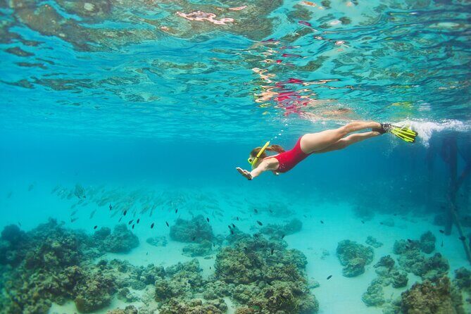 Cozumel Luxury Sailing & Snorkeling Cruise Experience - Snorkeling and paddling: what to pack for comfort and reef rules
