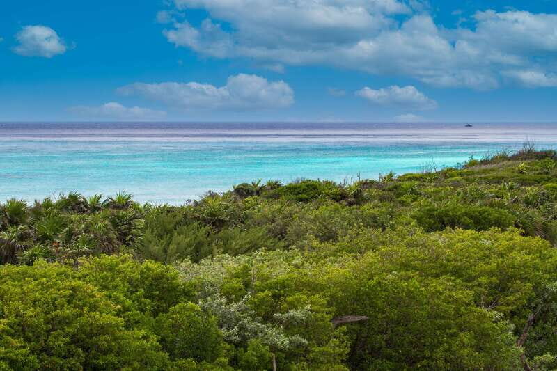 Cozumel: North Shore E-Bike Adventure & Beach Break - The north end beach break: white sand, water time, and lunch