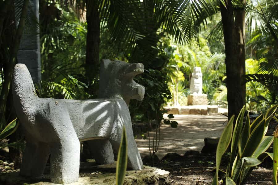 Cozumel: Official Chankanaab Park and Snorkeling with Lunch - Sea lion shows, beach loungers, and staying comfortable until 4 PM