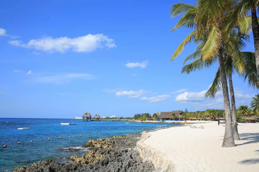 Cozumel: Official Chankanaab Park and Snorkeling with Lunch - Getting there from cruise ports and planning your timing
