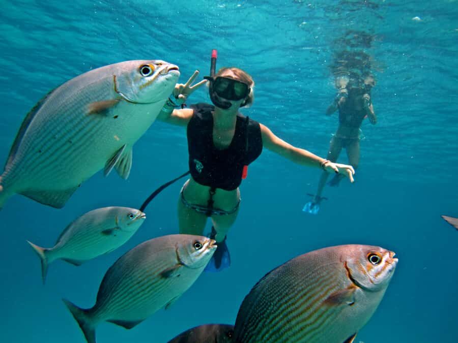 Cozumel: Official Chankanaab Park and Snorkeling with Lunch - Who should book this Chankanaab snorkeling and lunch package?