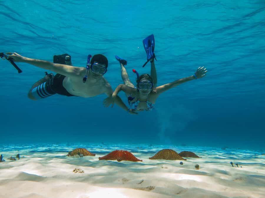 Cozumel: Palancar, Columbia and Cielo Reefs Snorkeling Tour - Key highlights worth knowing