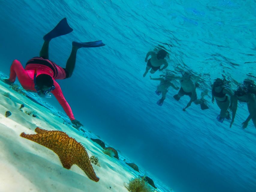 Cozumel: Palancar, Columbia and Cielo Reefs Snorkeling Tour - Who Should Book This Tour (and Who Might Look Elsewhere)