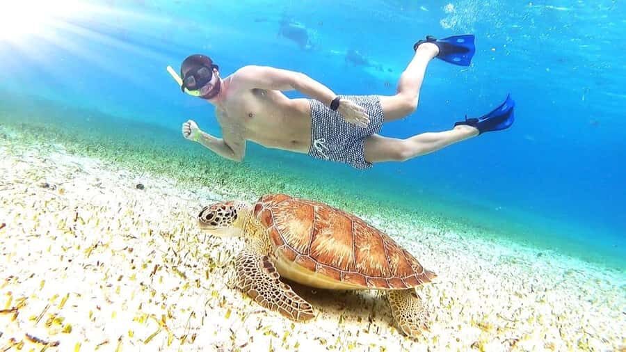 Cozumel: Palancar, Columbia and Cielo Reefs Snorkeling Tour - Cozumel Reef Snorkeling in 4 Hours: The Real Value