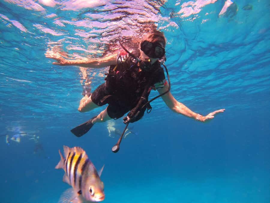 Cozumel: Palancar, Columbia and Cielo Reefs Snorkeling Tour - Gear, Safety Gear, and Crew Help: What to Do Before You Hit the Water