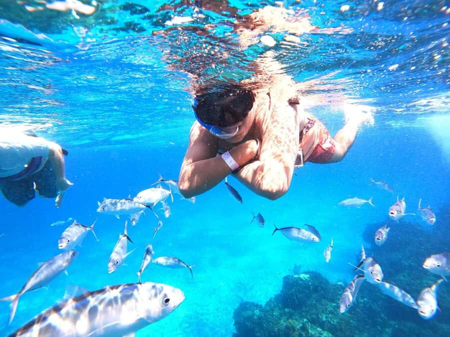 Cozumel: Palancar, Columbia and Cielo Reefs Snorkeling Tour - Food and Drinks After Snorkeling: The Part People Thank You For Later