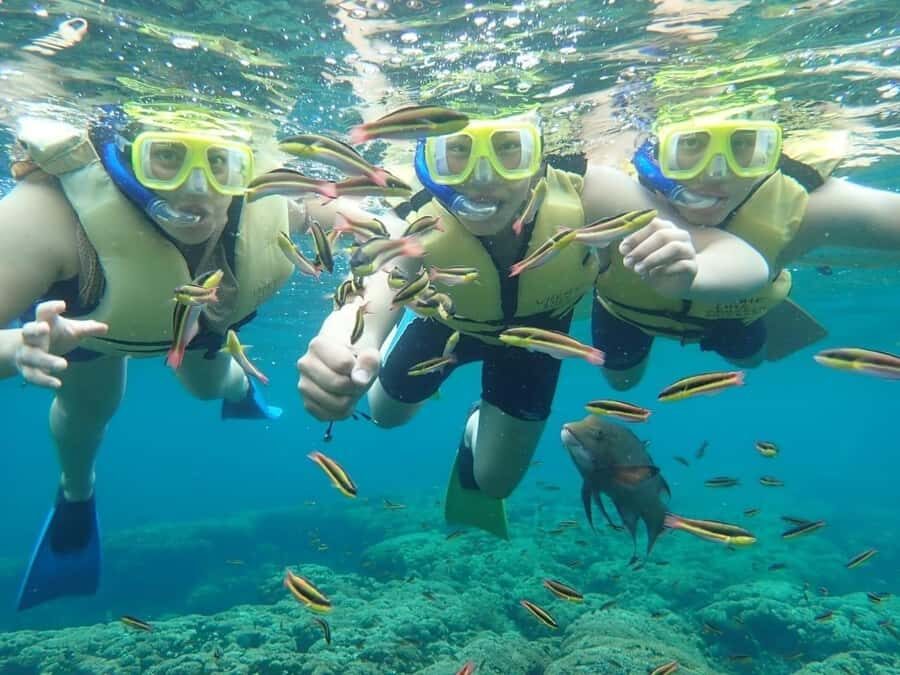 Cozumel: Palancar, Columbia and Cielo Reefs Snorkeling Tour - Price and Logistics: The $52 Rate Plus the $11 Marine Fee