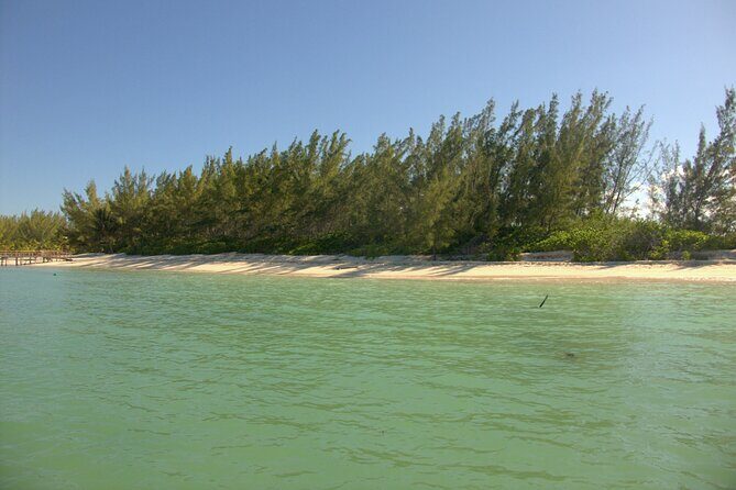Cozumel Private 4-Hour Boat Tour to Passion Island - Guides and safety: the difference between a good trip and a great one