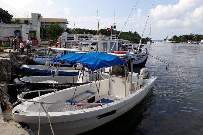 Cozumel Private 4-Hour Boat Tour to Passion Island - How to time your day and set expectations