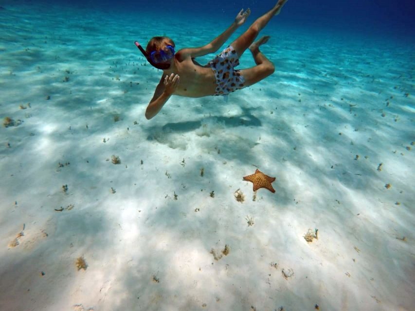 Cozumel: Private Charter Boat and Snorkel Day Trip - The reef snorkeling stop: guided, equipment-included, and worth it