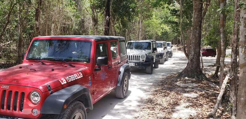 Cozumel: Private Jeep Tour Shore Excursion - Pick-up options and how the 5-hour rhythm fits your schedule